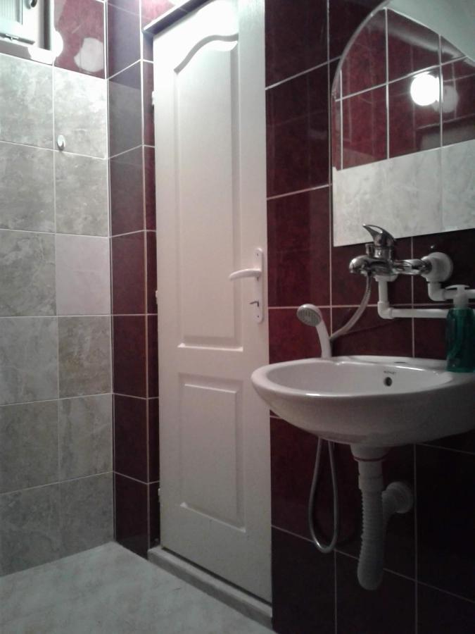 Privatan Smestaj Knjazevac エクステリア 写真