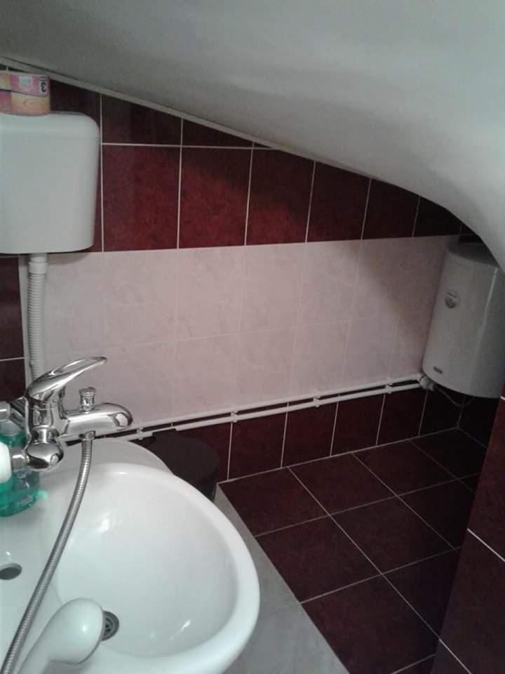 Privatan Smestaj Knjazevac エクステリア 写真