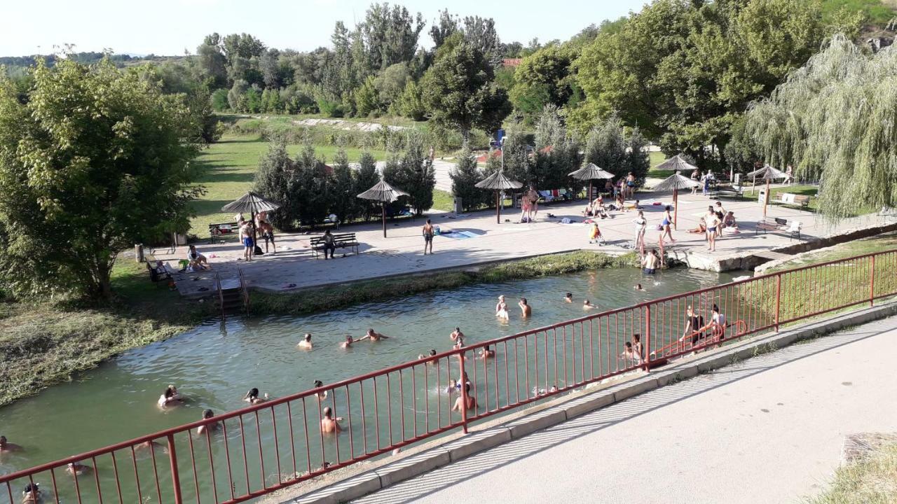 Privatan Smestaj Knjazevac エクステリア 写真
