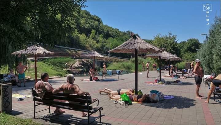 Privatan Smestaj Knjazevac エクステリア 写真