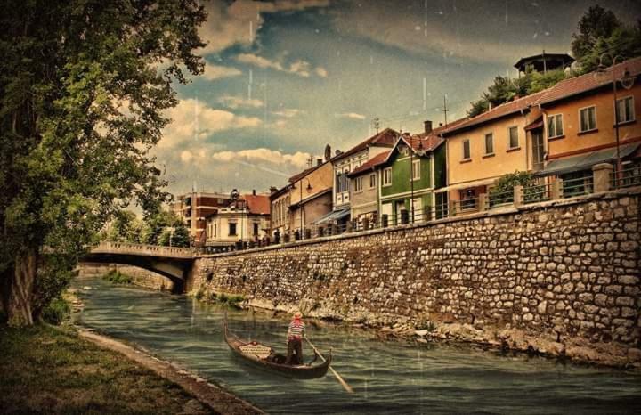 Privatan Smestaj Knjazevac エクステリア 写真